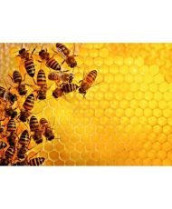 1000 Teile Puzzle - Der Bienenstock - Ravensburger - Tiere