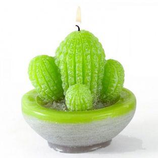 Kit de fabrication Bougies cactus