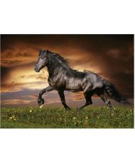 TRABENDES PFERD – 1000-teiliges Puzzle
