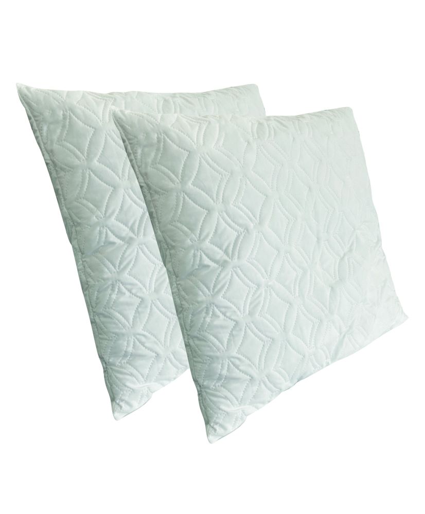 2 oreillers fermes à mémoire de forme anti-acariens et anti-allergéniques 60 x 60 cm 2 oreillers fermes à mémoire de forme anti-acariens et anti-allergéniques 60 x 60 cm