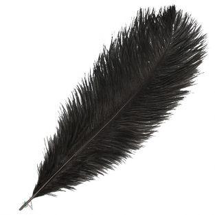  Ostrich feather - Black 