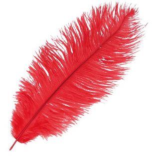  Ostrich feather - Red 