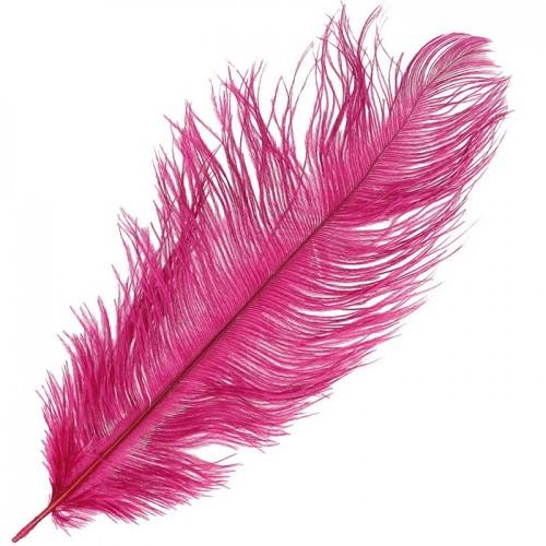  Ostrich feather - Carmine red 