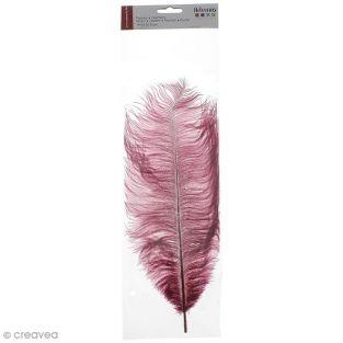  Ostrich feather - Carmine red 
