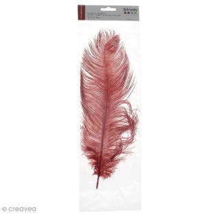  Ostrich feather - Red 
