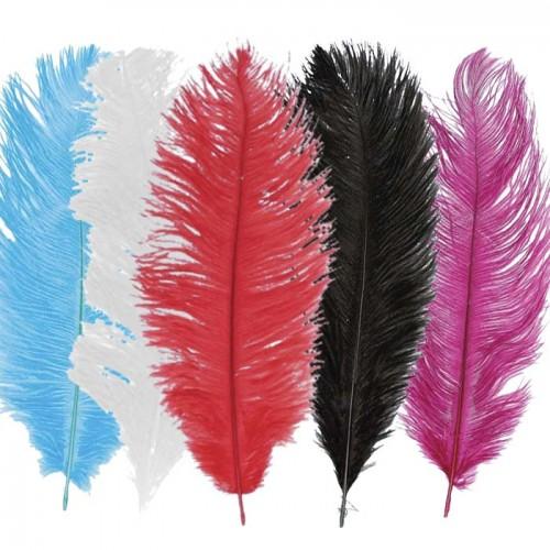 Kit ostrich feathers