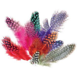 100 colored feathers of guinea fowl - 10g