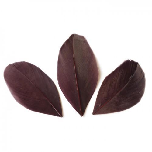 50 cut feathers - Brown 60 mm