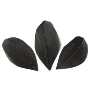 50 cut feathers - Black 60 mm