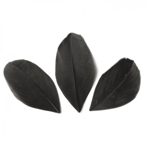 50 plumes coupées - Noir 6 cm