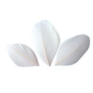 50 plumes coupées - Blanc 6 cm