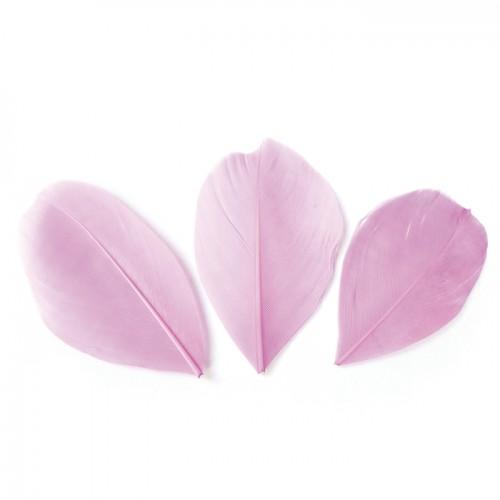 50 plumes coupées - Rose pâle 6 cm