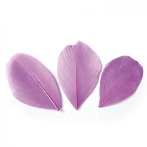 50 cut feathers - Purple 60 mm