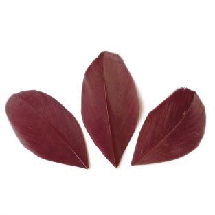 50 cut feathers - Red Bordeaux 60 mm