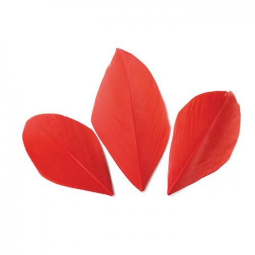 50 plumas rojas cortadas de 60 mm - Rojo