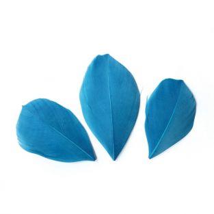 50 cut feathers - Turquoise 60 mm