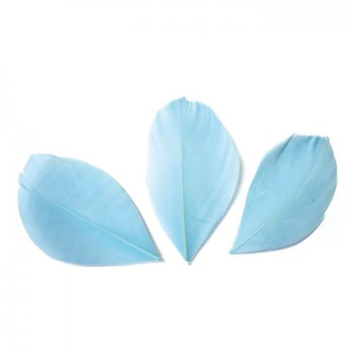 50 plumes coupées - Bleu clair 6 cm