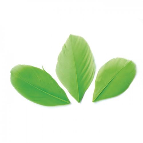 50 cut feathers - Green 60 mm
