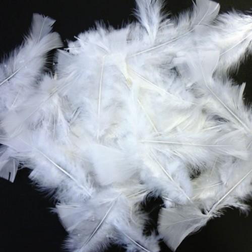 30 rooster feathers - white