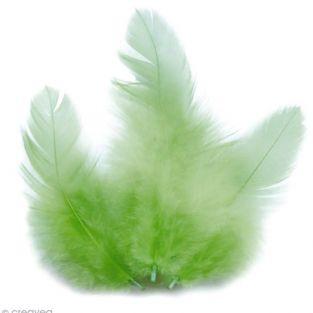 Rooster feathers 10 cm - light green