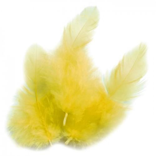 Rooster feathers 10 cm - yellow
