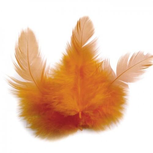 Rooster feathers 10 cm - orange Rooster feathers 10 cm - orange