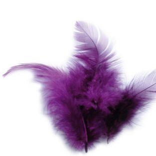 Plumas de gallo 10 cm - púrpura