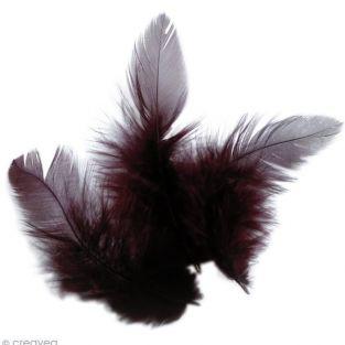 Rooster feathers 10 cm - brown