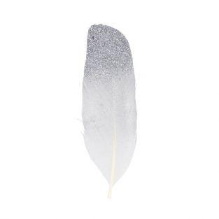6 silver feathers with glitter