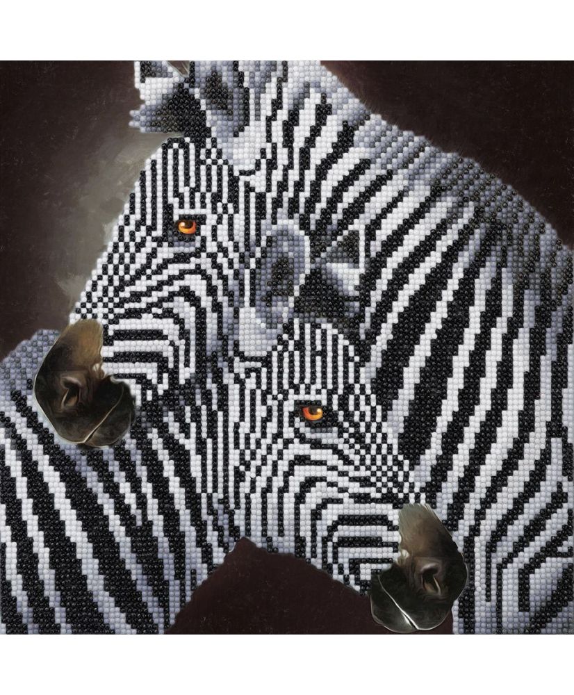 Pintura de diamante Cuadro Kit Crystal Art - Dúo de cebras - 30 x 30 cm