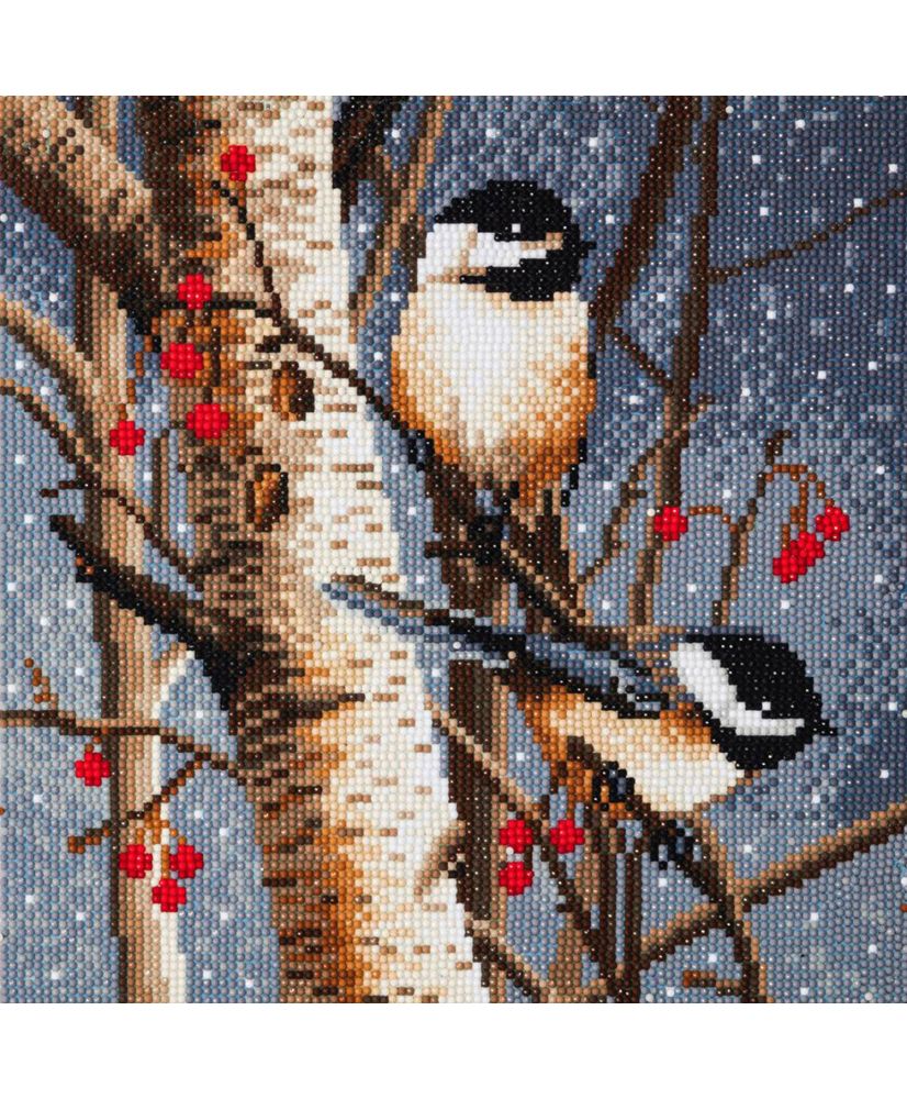 Stalente Diamond Painting Kits for Adults, Diamond Painting Birds, Diamond Art Lantern, 5D DIY Round Full Drill Diamond Art Kits Christmas for Home