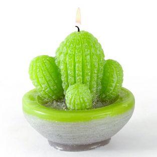 Moule à bougie en latex - Cactus