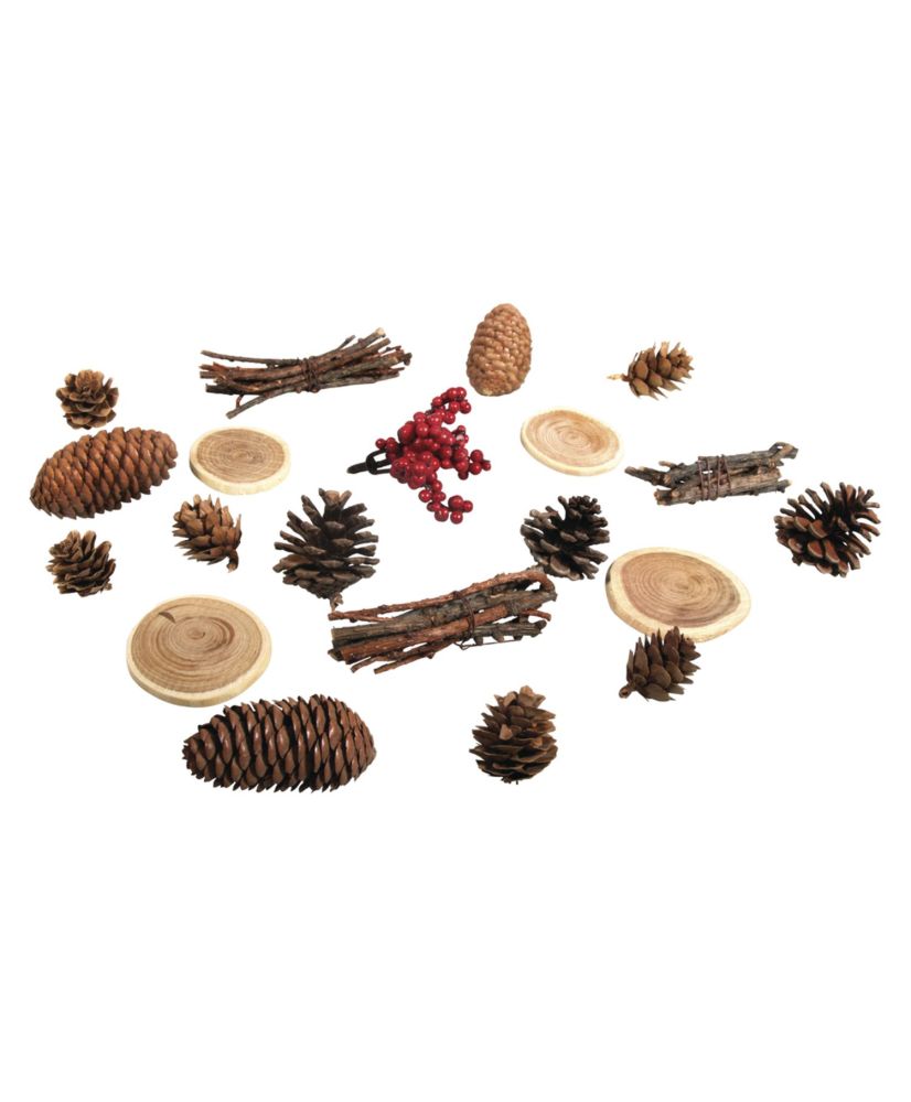 Miscela assortita - Decorazioni autunnali, natalizie e naturali - 20 Coni,  legno e bacche