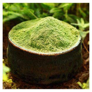 Polvo de té verde orgánico japonés Matcha 50 g