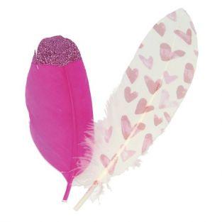 6 pink feathers with sequins