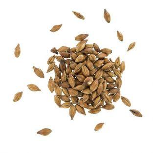 Roasted Barley - Mugicha - 20 bags