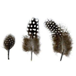 Natural feathers 2 to 6 cm - 3 g