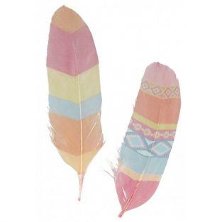 6 colorful indian feathers