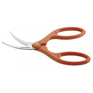 Shrimp Scissors