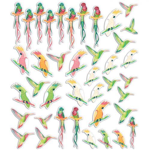 40 formas cortadas - Aves tropicales