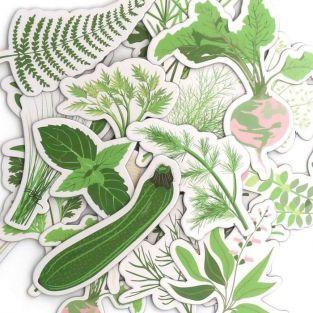20 Die-cuts - Vegetable garden