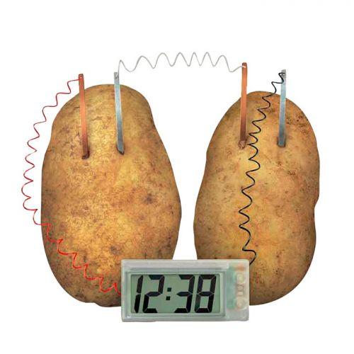 Juego educativo científico - Reloj de patata