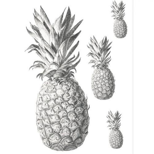 Iron-on transfer A4 black & white - Pineapple