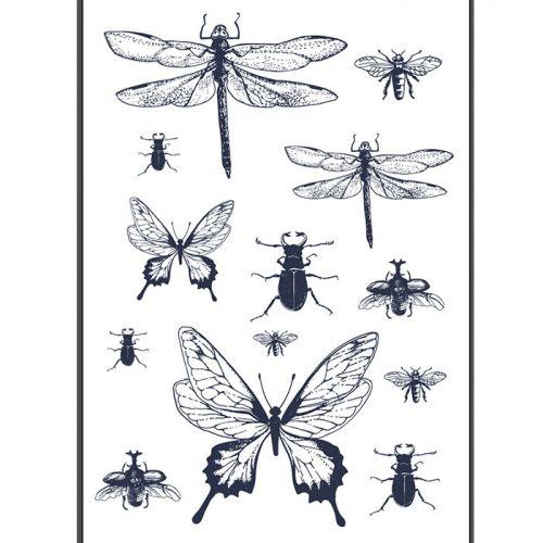 Iron-on transfer A4 black & white - Insects