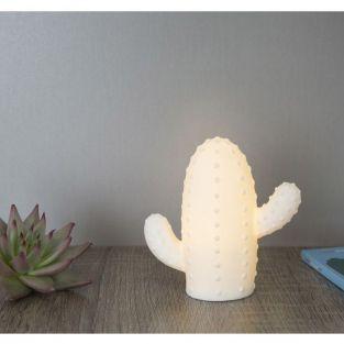 Small cactus LED light