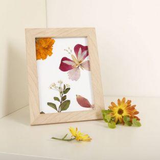 Wooden frame for Herbarium 13 x 17 cm