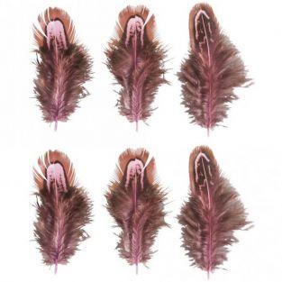 6 plumas decorativas - rosa