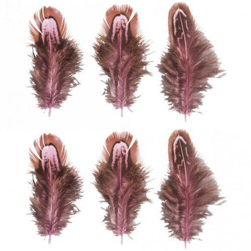 6 decorative feathers - Rose