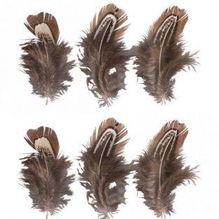 6 plumas decorativas - marrón