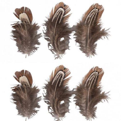 6 decorative feathers - Brown